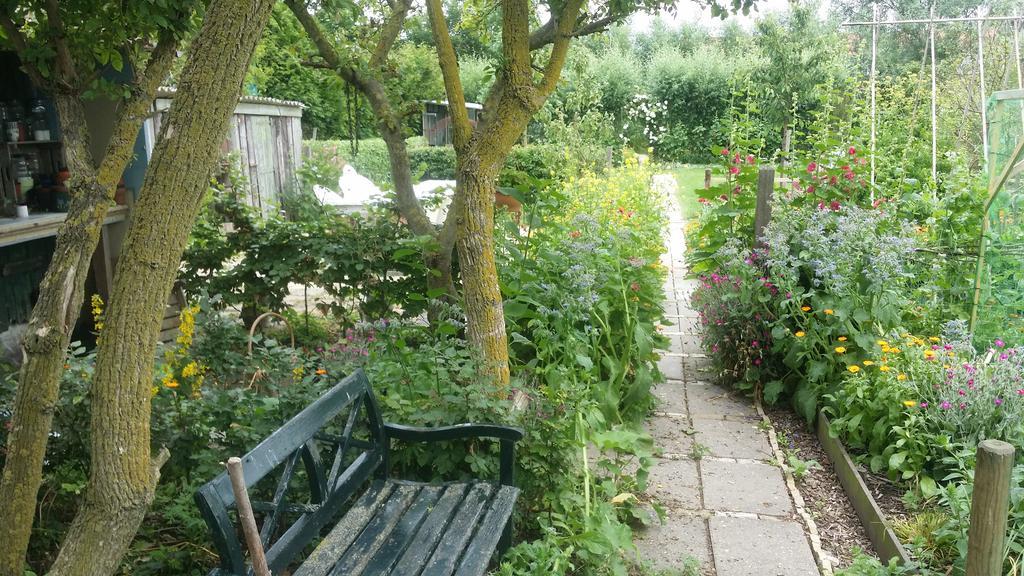De olde banck Appartement Stavoren Buitenkant foto